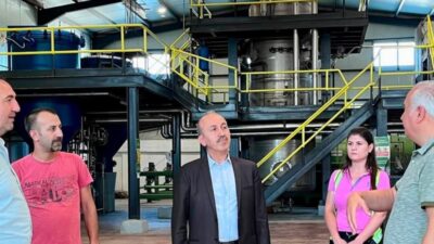 Türkiye’nin önemli zeytin üretim merkezlerinden Balıkesir’de hasat öncesi hazırlıklar başladı.