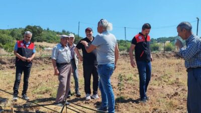 Balıkesir’de yağış, sel, kuraklık ve don derken şimdi de tarla