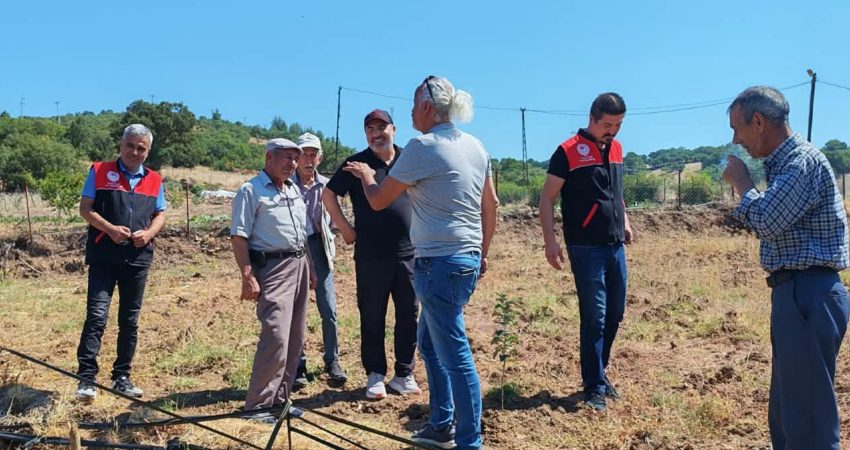 Balıkesir’de yağış, sel, kuraklık ve don derken şimdi de tarla