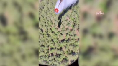Balıkesir’de 27 Temmuz-2 Ağustos tarihleri arasında çıkan üç büyük yangında