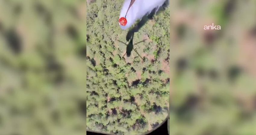Balıkesir’de üç büyük yangında 6 bin 733 hektar alan zarar gördü Balıkesir’de 27 Temmuz-2 Ağustos tarihleri arasında çıkan üç büyük yangında
