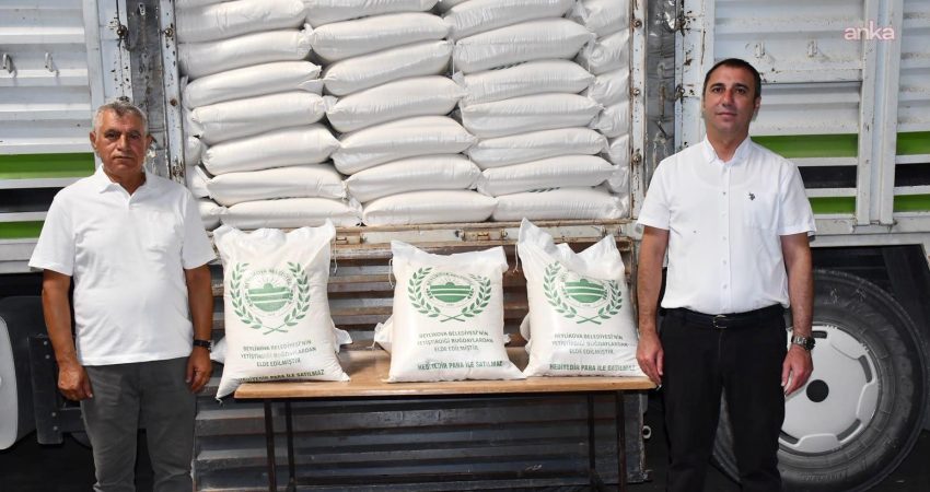 Beylikova Belediyesi, kendi tarım arazilerinde ürettiği buğdaylardan elde edilen 700