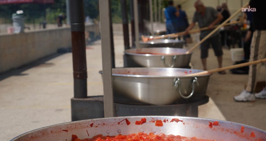 Bilecik Belediyesi, kışlık salça hazırlamak isteyen vatandaşlar için Vadipark Sosyal