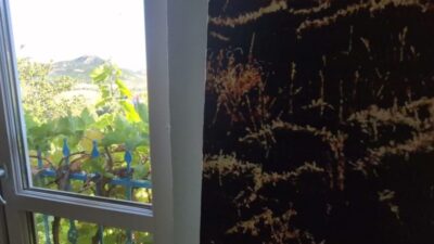 Bingöl’de doğup büyüdüğü coğrafyayı sanatının temel kaynağı olarak gören ressam