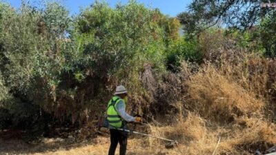 Bodrum Belediyesi, "yangın riskini azaltmak ve kent estetiğini korumak" amacıyla
