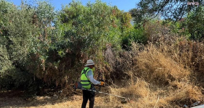 Bodrum Belediyesi, "yangın riskini azaltmak ve kent estetiğini korumak" amacıyla