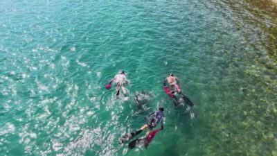 Bodrum Belediyesi tarafından “Denize En Çok Mavi Yakışır” sloganıyla başlatılan