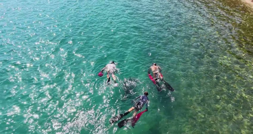 Bodrum Belediyesi tarafından “Denize En Çok Mavi Yakışır” sloganıyla başlatılan