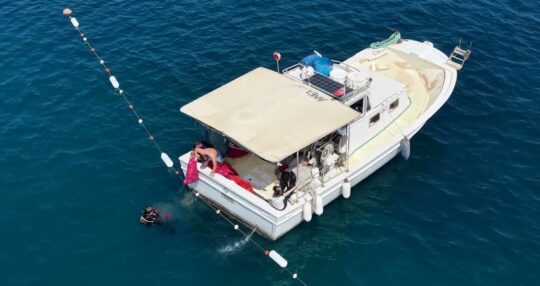 Bodrum Belediyesi tarafından Denize En Çok Mavi Yakışır sloganıyla başlatılan
