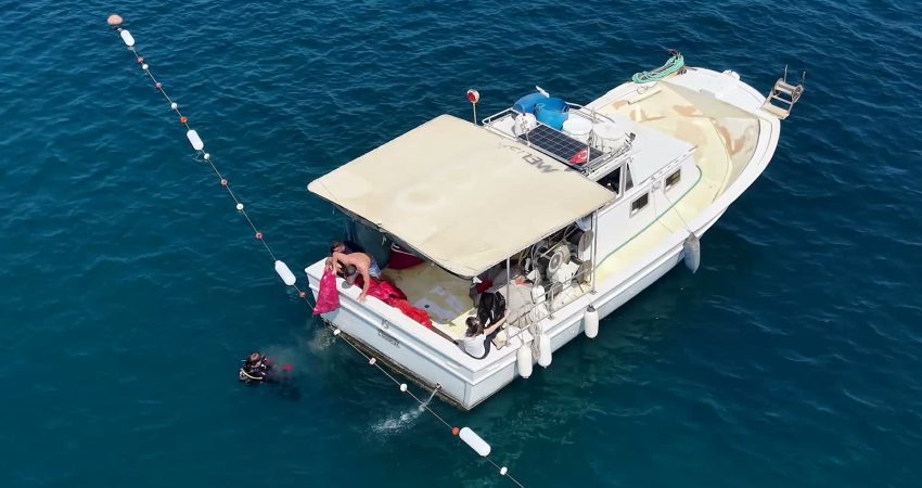 Bodrum Belediyesi tarafından Denize En Çok Mavi Yakışır sloganıyla başlatılan