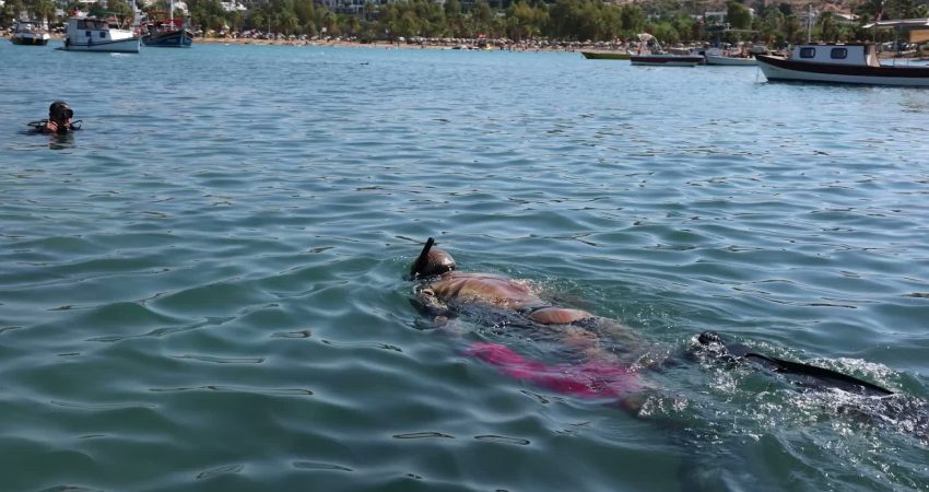 Bodrum Belediyesi tarafından "Denize En Çok Mavi Yakışır" sloganıyla başlatılan