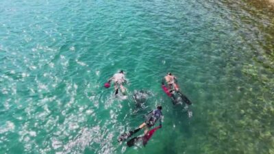 Bodrum Belediyesi ve gönüllülerden oluşan 8 kişilik dalgıç ekibi Torba