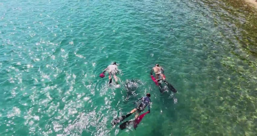 Bodrum Belediyesi ve gönüllülerden oluşan 8 kişilik dalgıç ekibi Torba