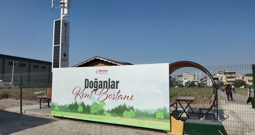 Bornova kent bostanında hasat zamanı… İlk ürünlerle menemen şenliği Bornova Belediye Başkanı Ömer Eşki, Türkiye'nin en büyük kent bostanında