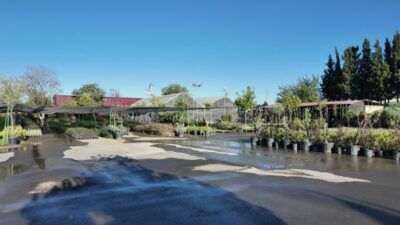 Bornova Belediye Başkanı Ömer Eşki, Bornova Belediyesi Park ve Bahçeler