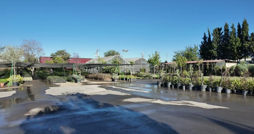 Bornova Belediye Başkanı Ömer Eşki, Bornova Belediyesi Park ve Bahçeler