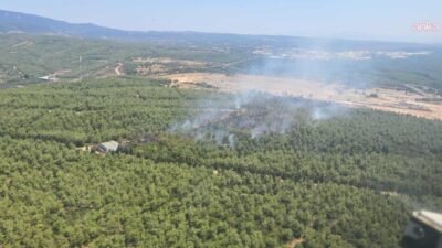İzmir’in Buca ilçesi Tınaztepe Mahallesi’nde çıkan orman yangını kontrol altına