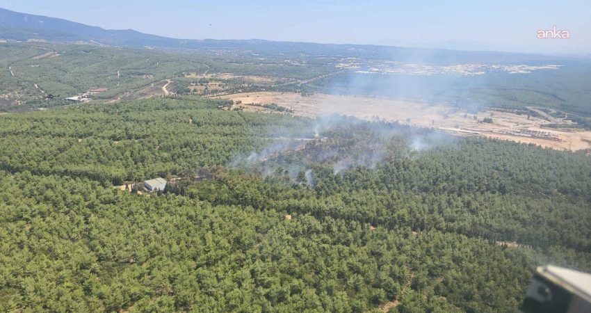 İzmir’in Buca ilçesi Tınaztepe Mahallesi’nde çıkan orman yangını kontrol altına