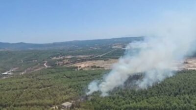 İzmir’in Buca ilçesi Tınaztepe Mahallesi’nde çıkan orman yangınını kontrol altına