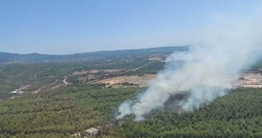 İzmir’in Buca ilçesi Tınaztepe Mahallesi’nde çıkan orman yangınını kontrol altına