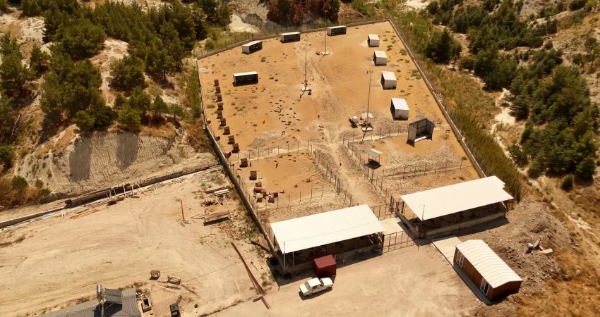 Burdur Belediyesi, hayvan barınağında yürütüldüğü genişletme ve modernizasyon çalışmalarıyla sokak