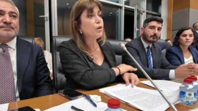 DEM Parti İstanbul Milletvekili Meral Danış Beştaş, TBMM Adalet Komisyonu'nda