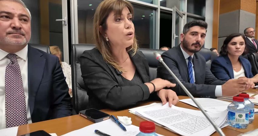 DEM Parti İstanbul Milletvekili Meral Danış Beştaş, TBMM Adalet Komisyonu'nda