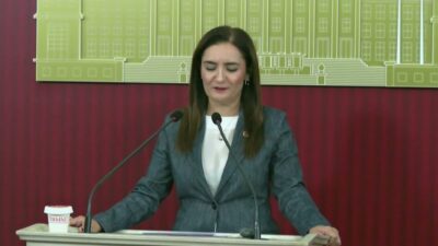 CHP Grup Başkanvekili Sevda Erdan Kılıç, parti olarak Milli Dayanışma