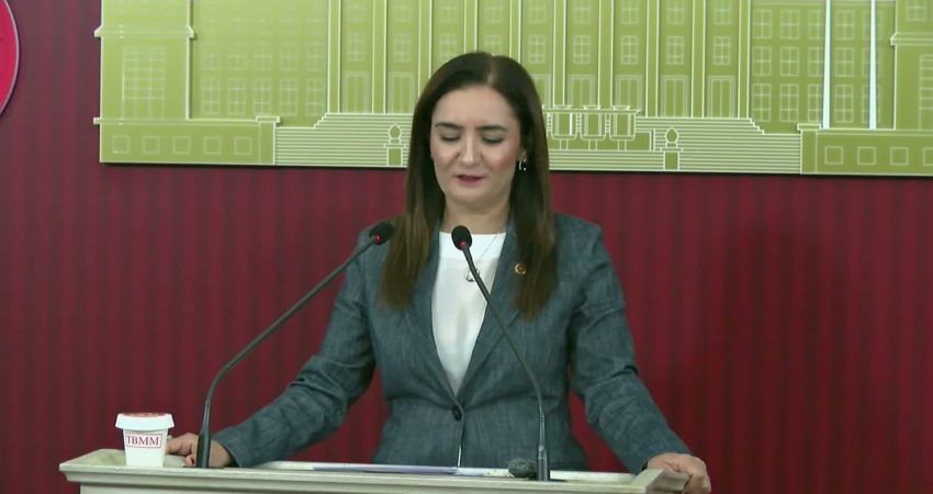 CHP Grup Başkanvekili Sevda Erdan Kılıç, parti olarak Milli Dayanışma