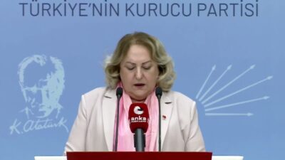 CHP Kadın Kolları Genel Başkanı Ayten Gülsever, TÜİK'in 2025 yılı