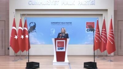CHP Kadın Kolları Genel Başkanı Ayten Gülsever, Türkiye'nin İstanbul Sözleşmesi'nden