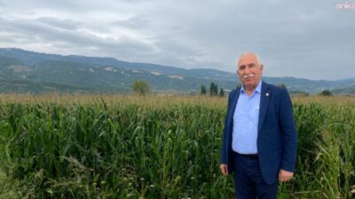 CHP Tokat Milletvekili Kadim Durmaz, mısır hasadının başlamasıyla birlikte üreticinin