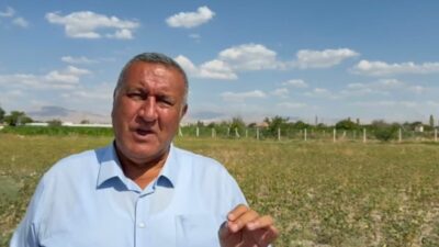 CHP Niğde Milletvekili Ömer Fethi Gürer, nohut üretiminde yaşanan sorunların