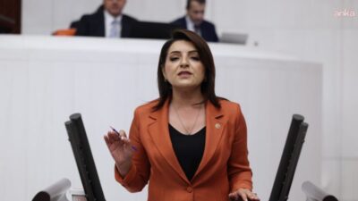 CHP Mersin Milletvekili Gülcan Kış, 1 Ocak-21 Ağustos 2026 tarihleri