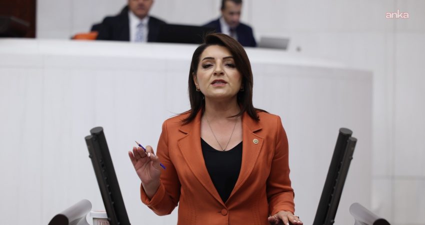 CHP Mersin Milletvekili Gülcan Kış, 1 Ocak-21 Ağustos 2026 tarihleri