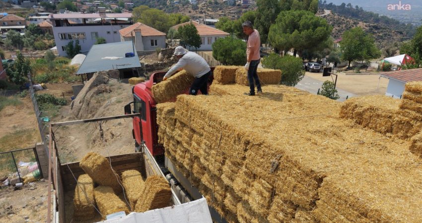 Çine Belediyesi, ilçede ormanlık alanda çıkan yangından etkilenen işletmelere saman