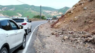 Tunceli-Hozat karayolunun Demirkapı mevkisinde, tuz ihtiyaçlarını karşılamak amacıyla yola inen