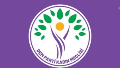 DEM Parti Kadın Meclisi'nden yapılan açıklamada, Rojin Kabaiş’in ölümüne ilişkin