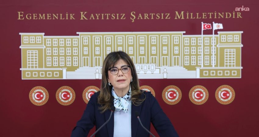 DEM Parti Erzurum Milletvekili Meral Danış Beştaş, HPV aşısının bir