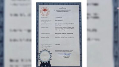 Didim Belediyesi Sokak Hayvanları Mama Üretim Tesisi'ne, İl Tarım ve
