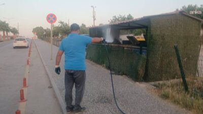 Didim Belediyesi, yaz aylarında artış gösteren sinek ve haşerelere karşı
