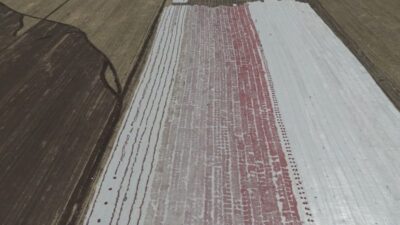 Diyarbakır’da 100 bin yıl önce sönmüş volkanik Karacadağ eteklerinde yetiştikten