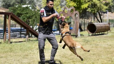 Ankara Büyükşehir Belediyesi ANFA Güvenlik Genel Müdürlüğü ekipleri, 14 K9