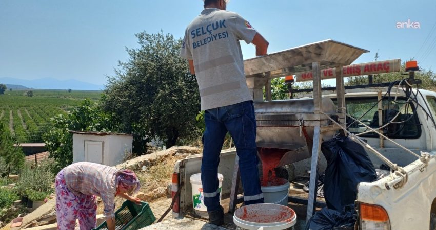 Efes Selçuk Belediyesi, kış hazırlıklarının önemli bir parçası olan salça