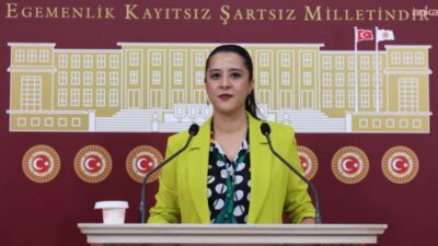 EMEP Gaziantep Milletvekili Sevda Karaca, Gaziantep İl Milli Eğitim Disiplin