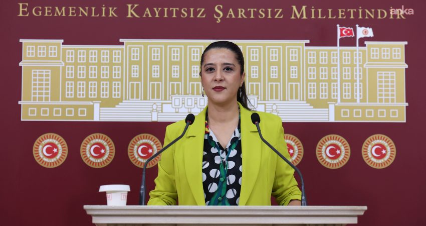 EMEP Gaziantep Milletvekili Sevda Karaca, Gaziantep İl Milli Eğitim Disiplin