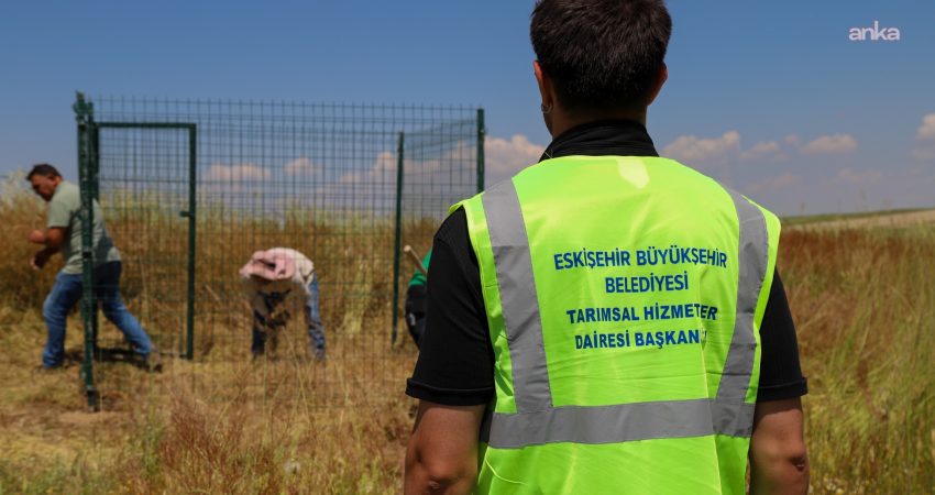 Eskişehir Büyükşehir Belediyesi, yerel üreticileri ve çiftçileri desteklemek amacıyla "Tarımsal