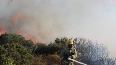Çanakkale’nin Ezine ilçesine bağlı Gökçebayır köyünde ziraat alanında başlayarak ormanlık