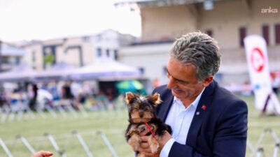 Gemlik Belediyesi ve Köpek Irkları ve Kinoloji Federasyonu (KIF) iş