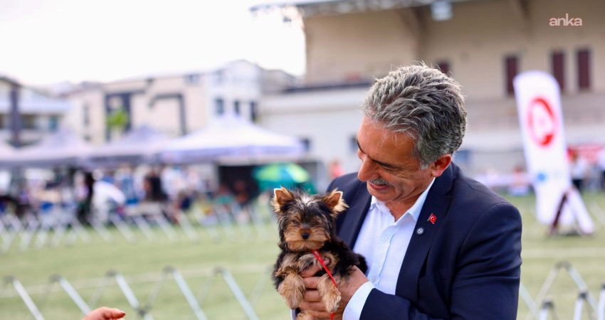 Gemlik Belediyesi ve Köpek Irkları ve Kinoloji Federasyonu (KIF) iş